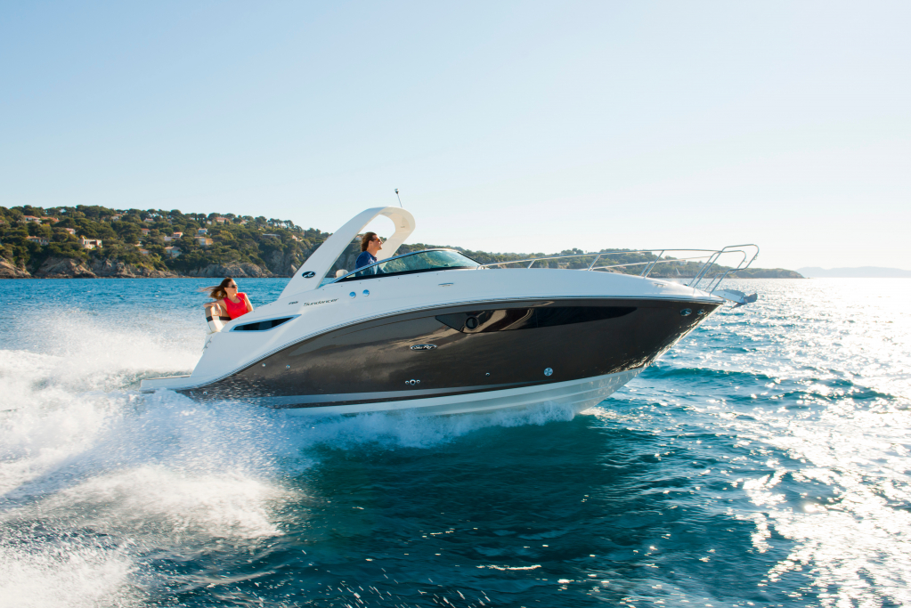 _RAY0596.jpg _RAY0596.jpg