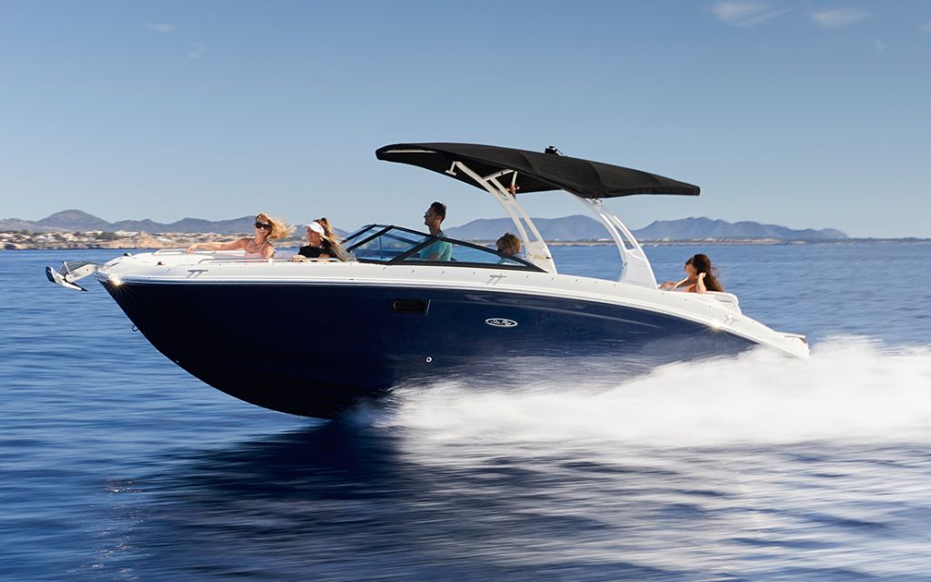 searay_3.jpg searay_3.jpg